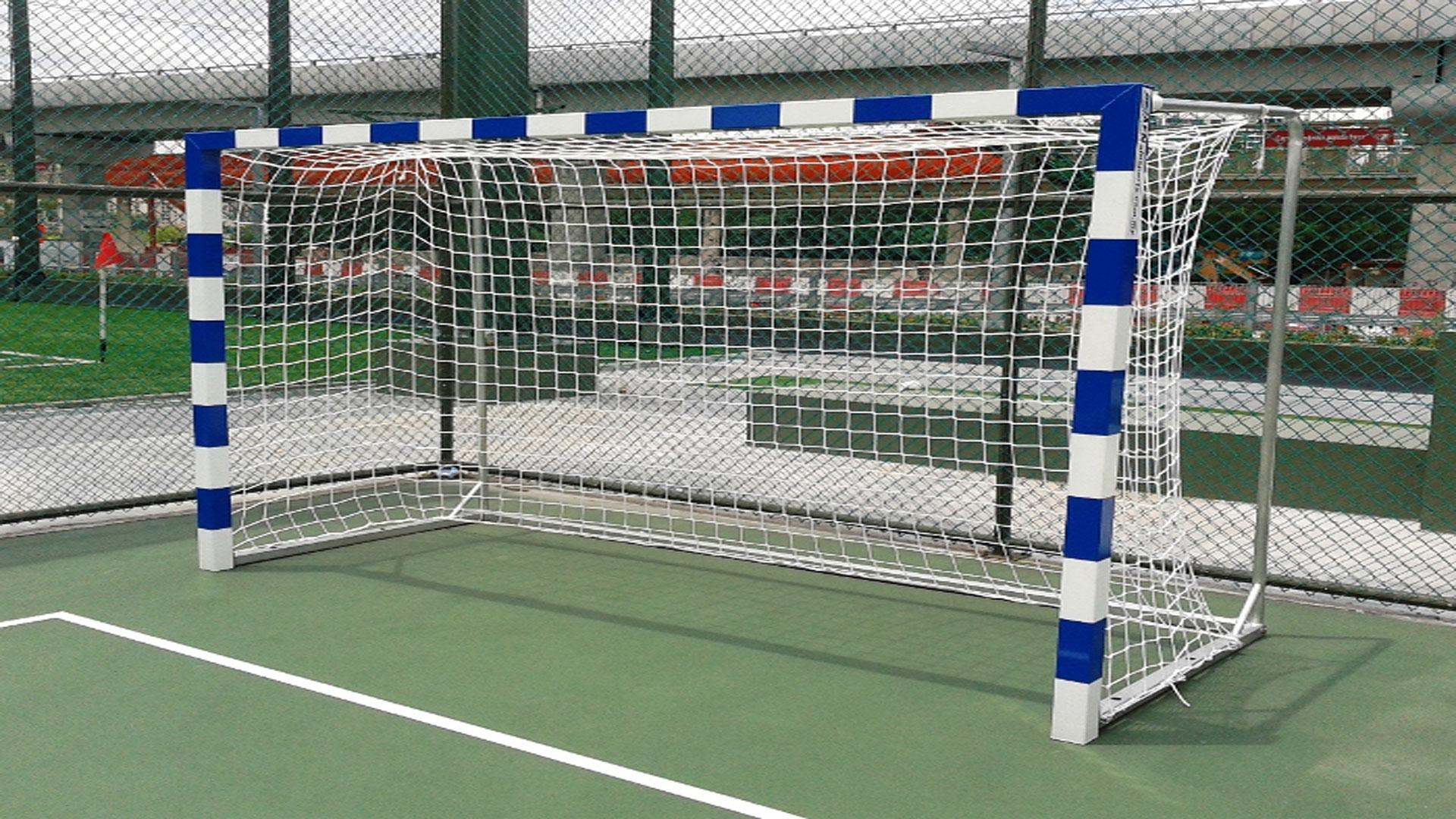 Nets For Sports , Leon De Oro,8888332634